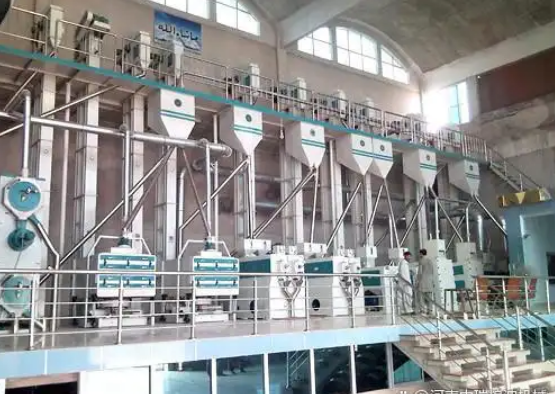 120 Ton Rice Milling Machine