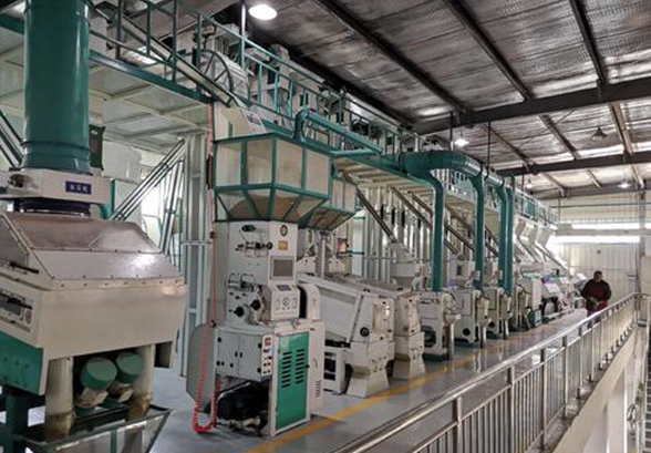 60-Ton Intelligent Rice Processing Line