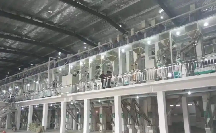Complete 50-Ton Rice Milling Production Line