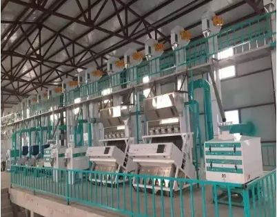 Complete Rice Processing Equipment