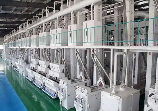 FOTMA 200-Ton Rice Processing Line