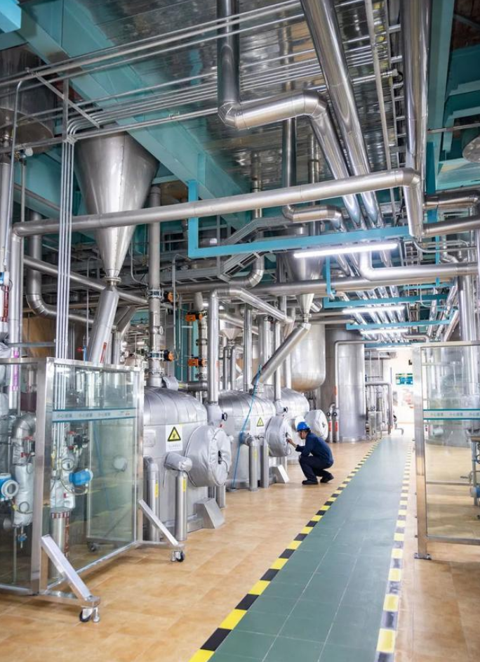 Rice Bran Oil Production Line