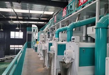 complete rice processing line