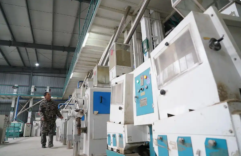 rice processing equipment
