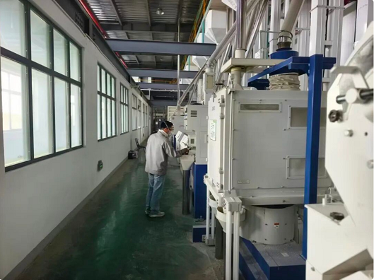 rice processing plant